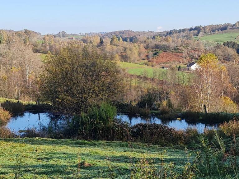 Bed and Breakfast Pied des Milles Etang - Les Capucins à Faucogney-et-la-Mer Extérieur photo